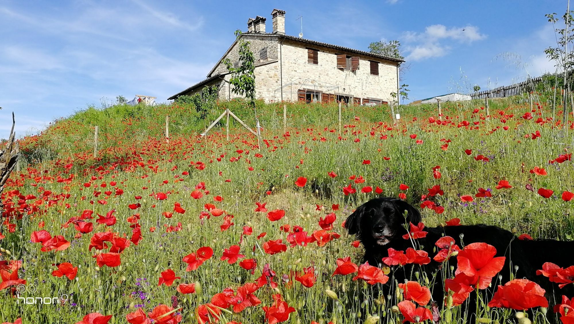 Casale Le Orme Bed and Breakfast Todi Eksteriør billede